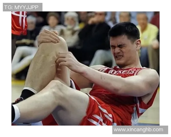 姚明姚黑背后的故事与篮球文化的深刻影响解析