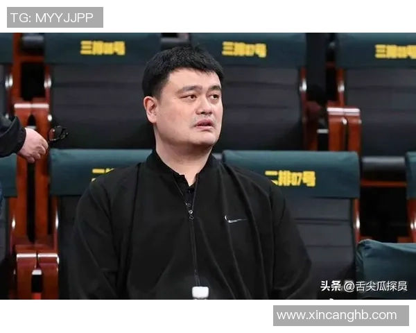 姚明海外豪宅揭秘奢华生活背后的故事与设计理念